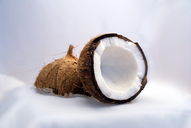 Sustainable Coconut Farming in Indonesia: What Buyers Need to Know
